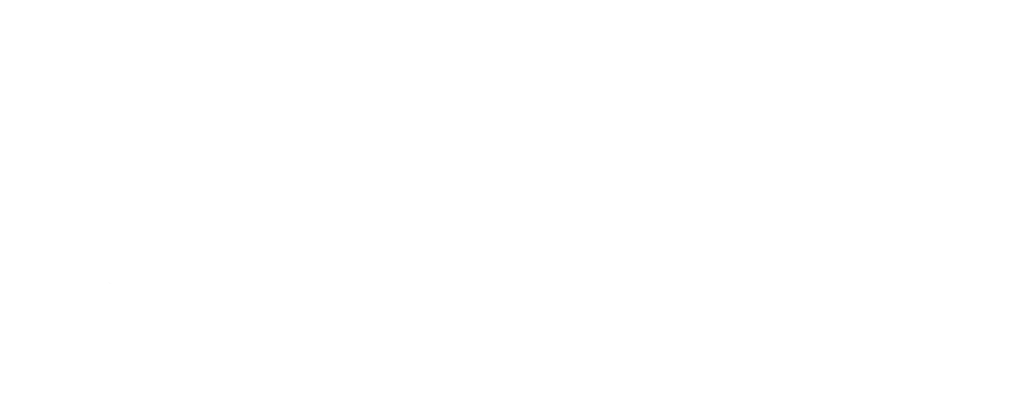 vit-b logo